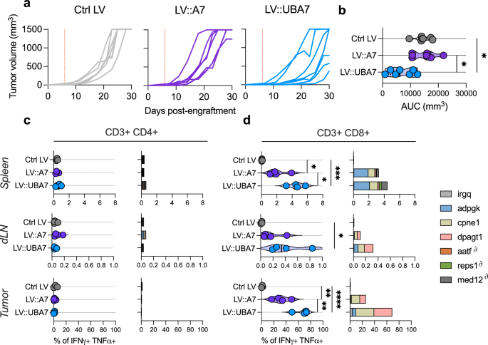 Fig. 4: LV::UBA7 treatment delayed tumor growth via enhanced intra-tumoral T cell infiltration compared to LV::A7.