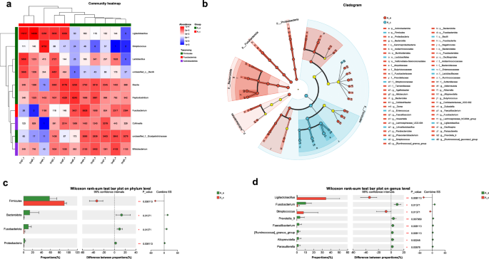 Fig. 6: Dynamics of fecal microbiota composition following E. granulosus infection.
