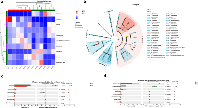 Fig. 7: Fecal microbiota alterations following immunization with the rEgENO&rEgSev&rEgCyc vaccine.
