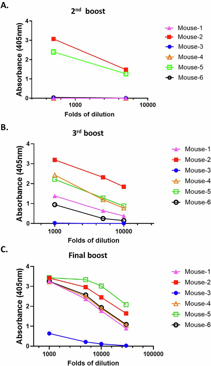 Fig. 4: Anti-human PAR4 antibody responses following PAR4-mRNA-LNP immunization.
