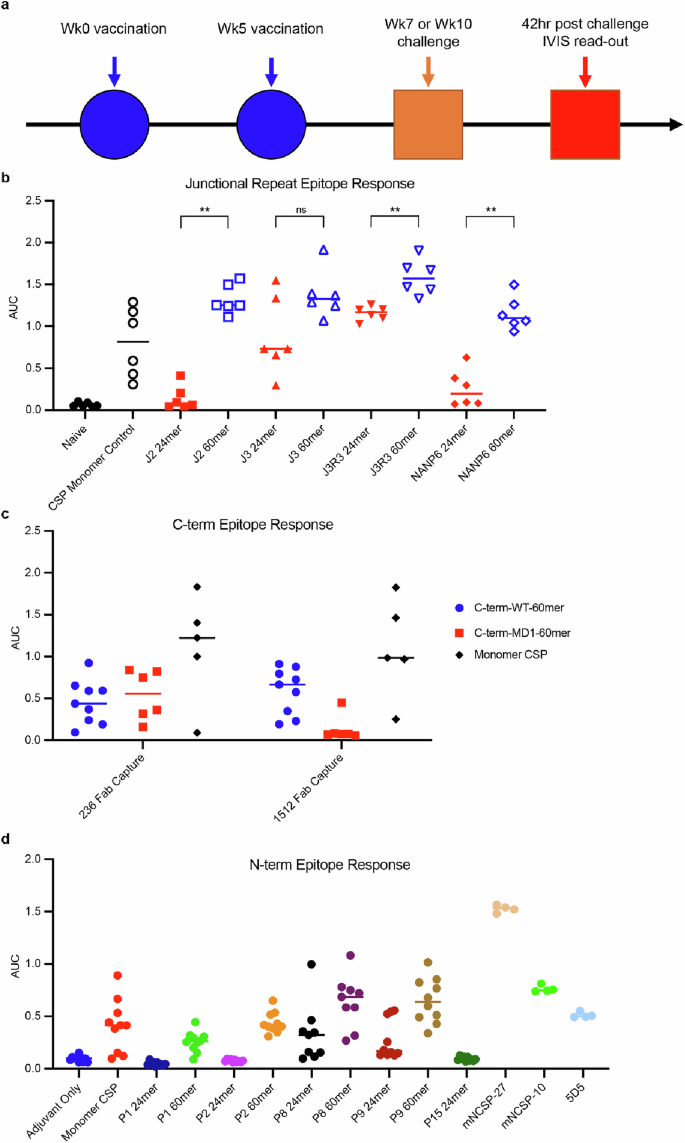 Fig. 3: Serological response to vaccination by ELISA.