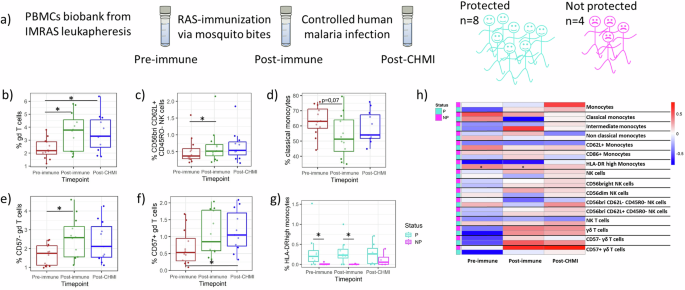 Fig. 1: Landscape of innate immune cell types responding to in vitro sporozoite stimulation before immunization (pre-immune), after immunization (post-immune) and after CHMI (post-CHMI).