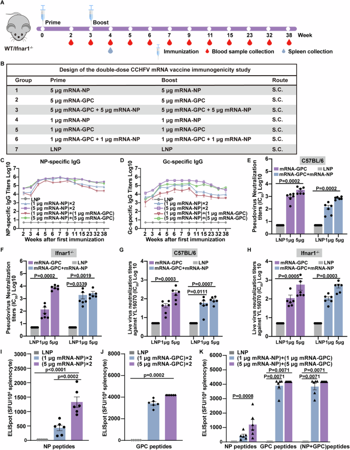 Fig. 1: Characterization of immunogenicity of mRNA vaccines in mice.