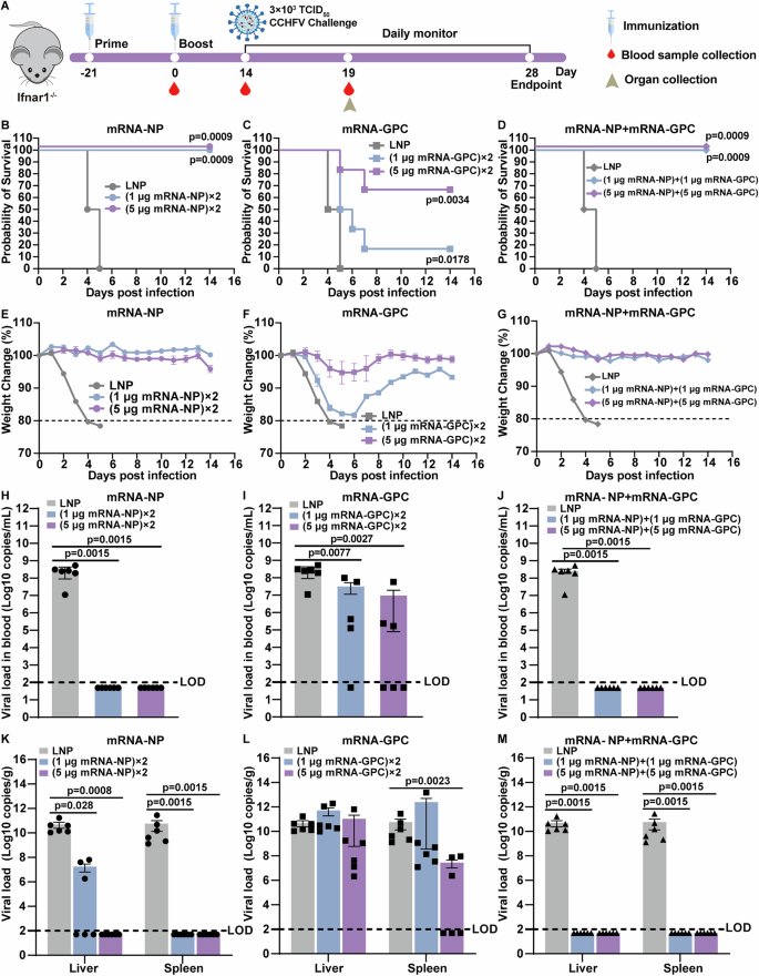 Fig. 2: mRNA vaccination protects Ifnar1−/− mice against CCHFV infection.