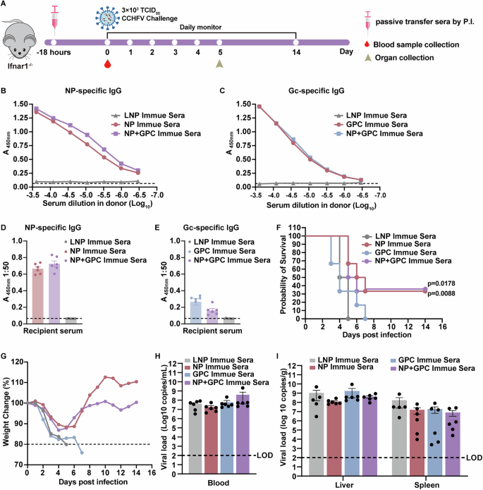 Fig. 5: Passive transfer of sera from mRNA-NP-vaccinated mice increases survival in CCHFV-infected mice.