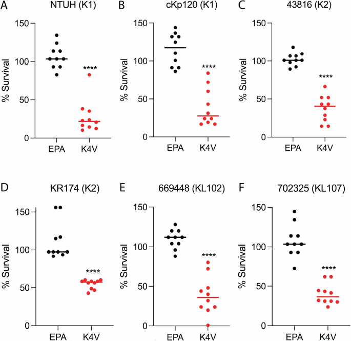 Fig. 3: Serum bactericidal assays with vaccinated mouse serum.