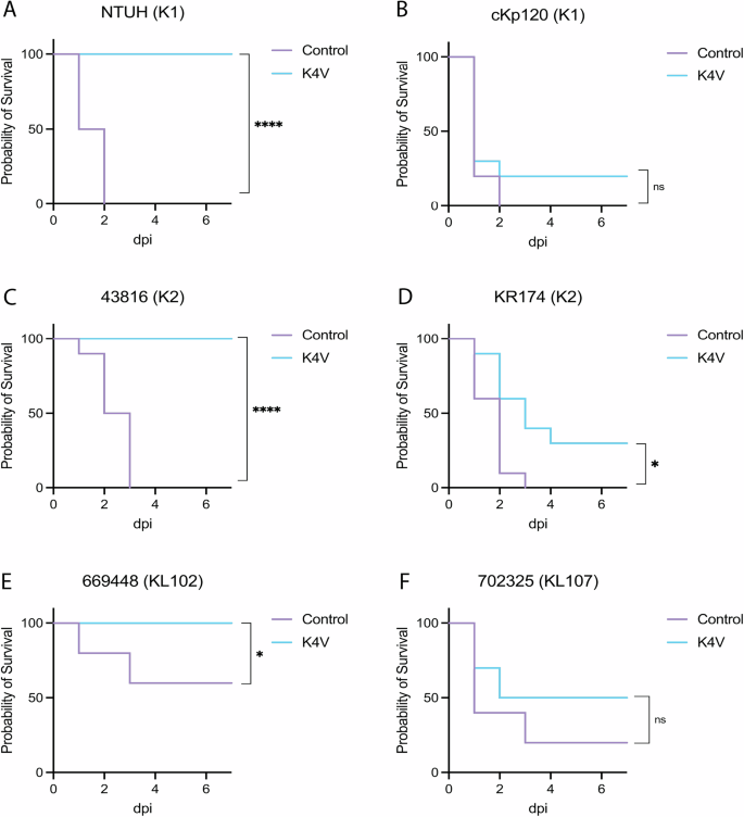 Fig. 5: Survival of bioconjugate-vaccinated mice after lethal bacteremia challenge.