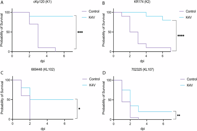 Fig. 6: Survival of immunocompromised bioconjugate-vaccinated mice after lethal bacteremia challenge.