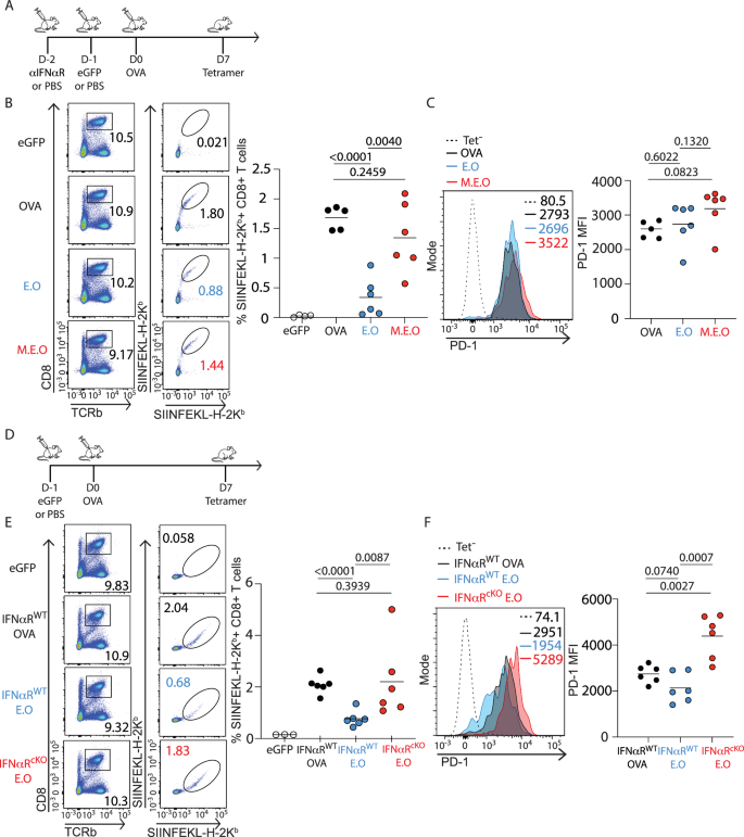 Fig. 4: Inducing IFN before mRNA-LNP vaccination reduces vaccine efficacy.