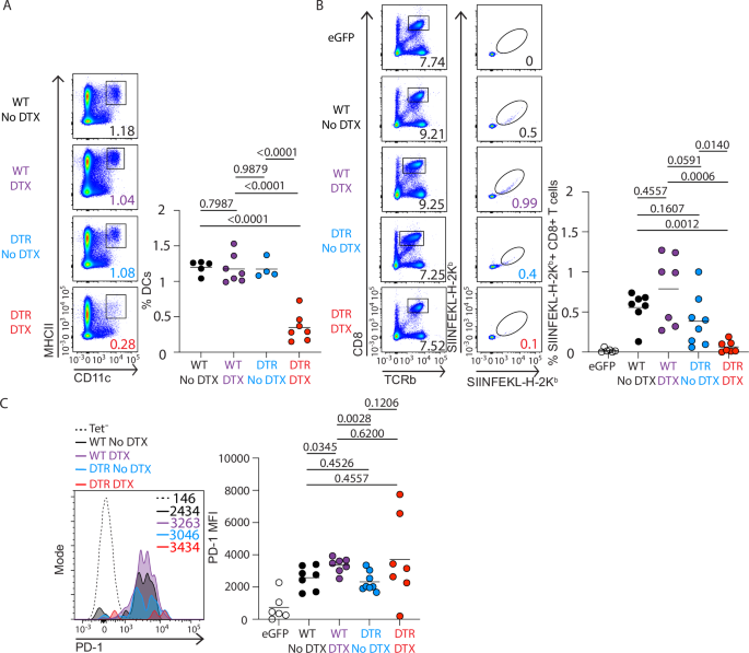 Fig. 5: DCs are required to produce a CD8⁺ T cell response to mRNA vaccines.