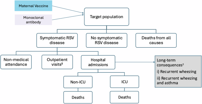 Fig. 5: Model structure.