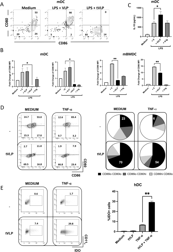 Fig. 3: tVLPs inhibit dendritic cell activation in response to inflammatory stimuli in both murine and human systems.
