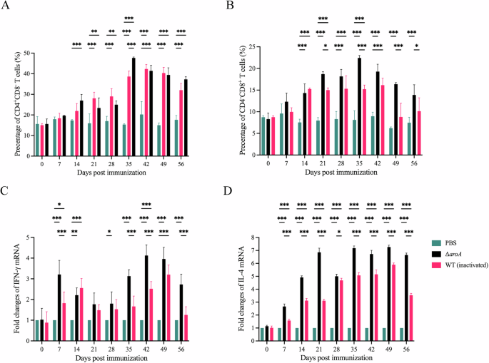 Fig. 7: Immunization with ΔaroA induces the cellular response in BALB/c mice.