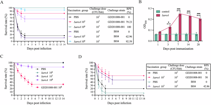 Fig. 8: Immunization with the ΔaroA provides strong protective immunity against S. agalactiae infection in Nile tilapia.