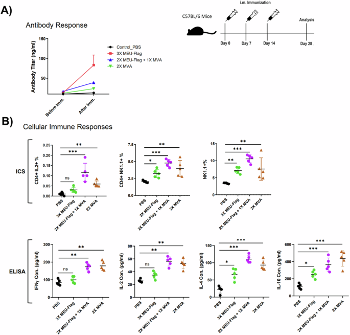 Fig. 4: Evaluation of humoral and cellular immune responses in vaccinated mice.