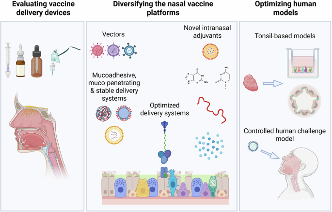 intranasal ipamorelin study Medical Grade Nasal Spray Frontiers | Recent developments in