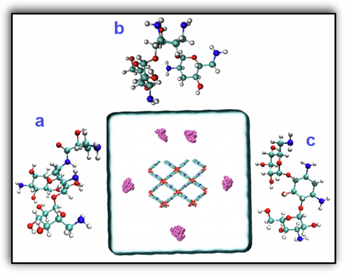 Fig. 2: A sample of the initial simulation box before each simulation run & the structure of drugs used in this study.