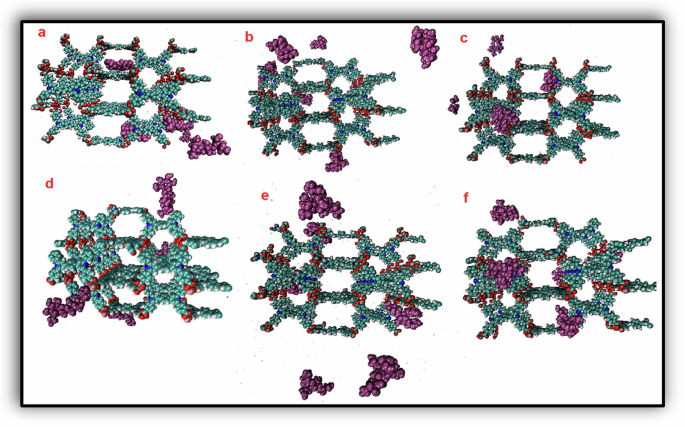 Fig. 3: The final snapshots of the studied systems after 100 ns MD simulation.