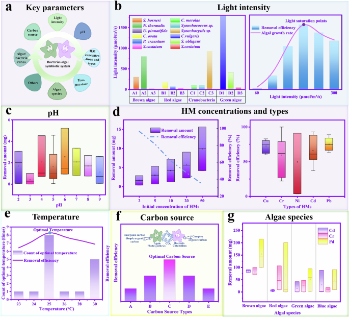 Fig. 6: Key parameters of ABSS for HM-containing wastewater treatment.