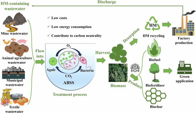 Fig. 8: The sustainable path of ABSS for treating wastewater containing HMs146.