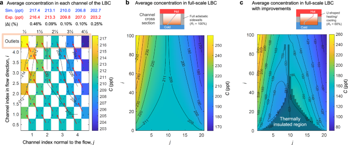 Fig. 5: Numerical results of concentration in LBC channels.