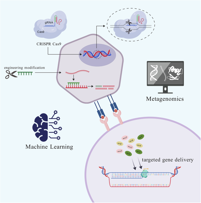 Fig. 2: Technological roadmap for expanding phage host specificity.