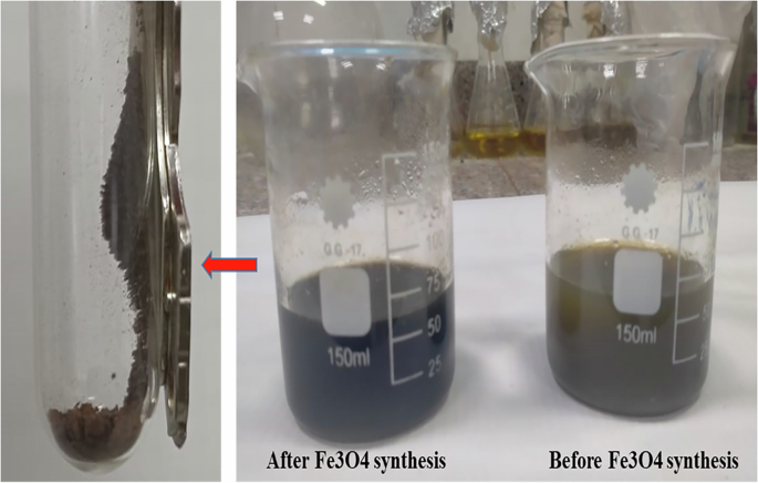 Fig. 1: Visible color transition from a pale brown archaeal extract with iron solution (Before) to a dark black precipitate (After) confirms the successful biogenic synthesis of Fe3O4 nanoparticles.