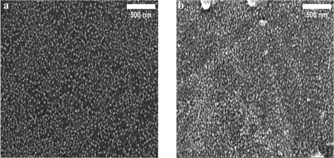 Fig. 5: SEM micrographs for haloalkaliphilic strains.