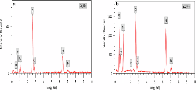 Fig. 6: EDX analysis for haloalkaliphilic strains.