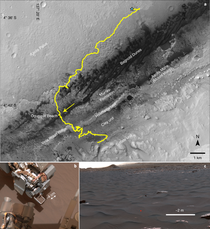 Organic molecules revealed in Mars's Bagnold Dunes by Curiosity's  derivatization experiment | Nature Astronomy