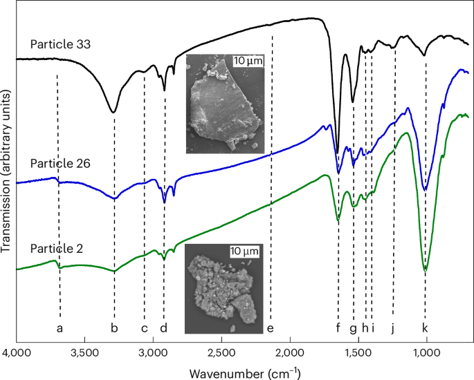 Fig. 1: The mid-IR spectra of particles that contain nitrogen-rich organics.