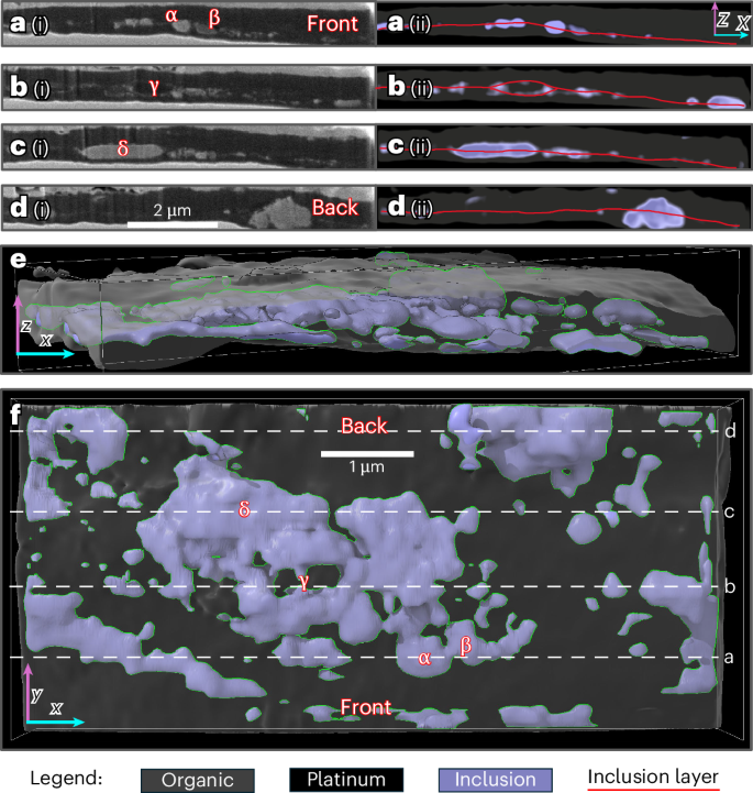 Fig. 3: A 3D reconstruction of a FIB-extracted portion of Particle 33.