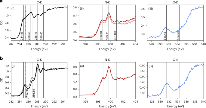 Fig. 4: X-ray spectroscopy of the carbon, nitrogen and oxygen K edges of Particles 2 and 33.