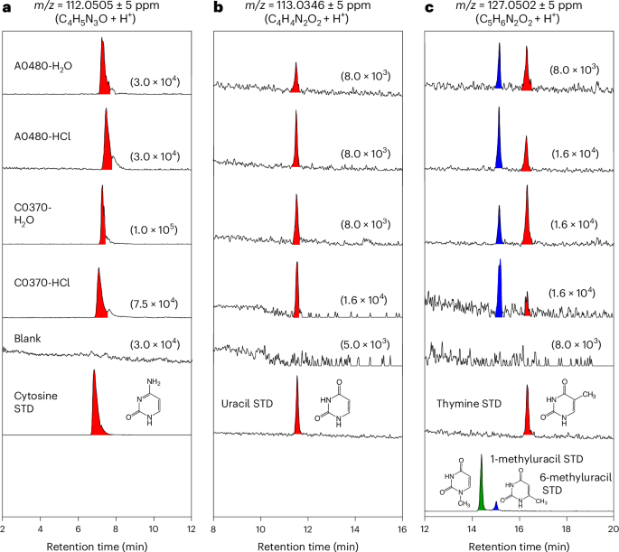 Fig. 2: Pyrimidine nucleobases detected in the H2O and HCl extracts of the Ryugu A0480 and C0370 samples using HPLC/ESI-HRMS analysis.