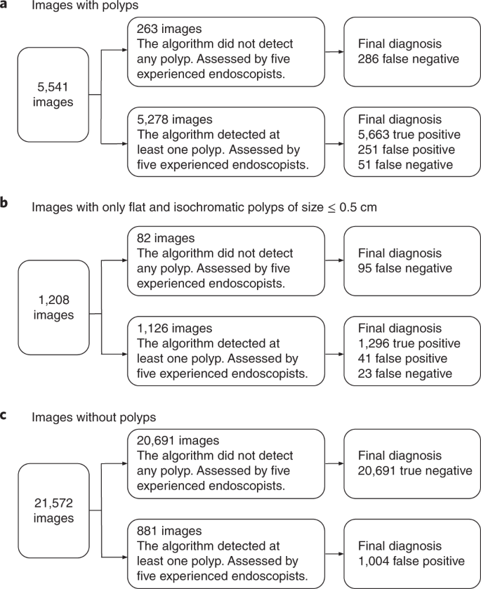 Development And Validation Of A Deep Learning Algorithm For The Detection Of Polyps During Colonoscopy Nature Biomedical Engineering