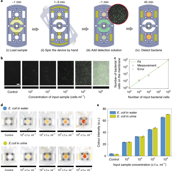 A Fidget Spinner For The Point Of Care Diagnosis Of Urinary Tract Infection Nature Biomedical Engineering