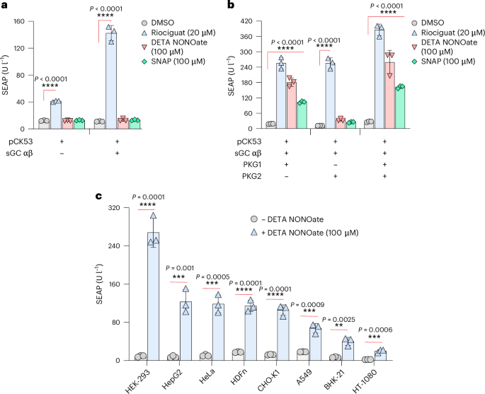 Fig. 2: Engineering of hNORM in mammalian cells.