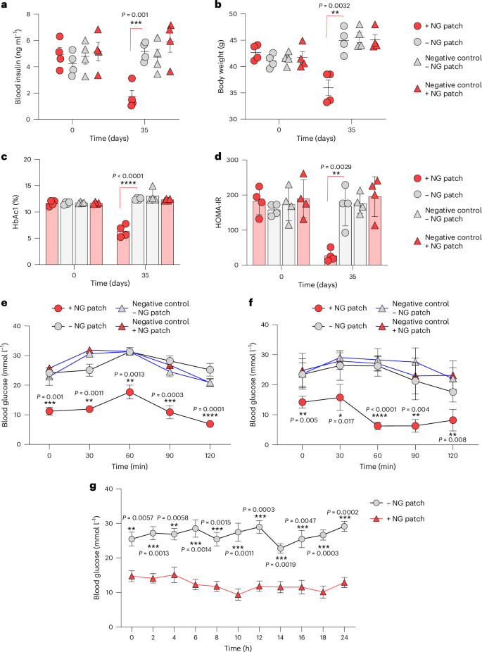 Fig. 6: Long-term hNORM-regulated GLP-1 delivery substantially ameliorates type 2 diabetes mellitus-associated metabolic changes in db/db diabetic mice.