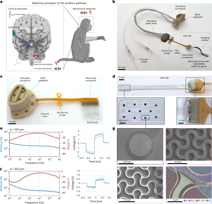Fig. 1: Experimental design and devices.
