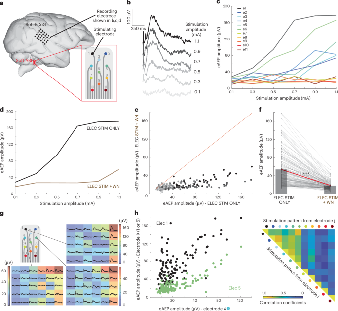 Fig. 3: Characterization of cortical responses to soft ABI stimulation.