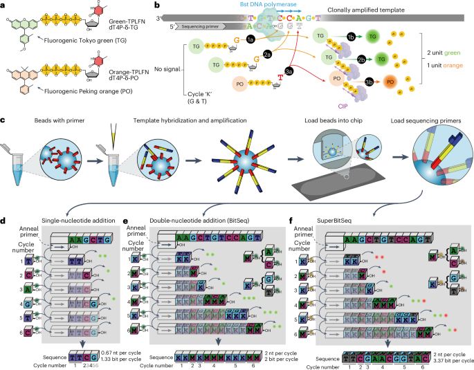 Fig. 1: Schematic of fuzzy sequencing.