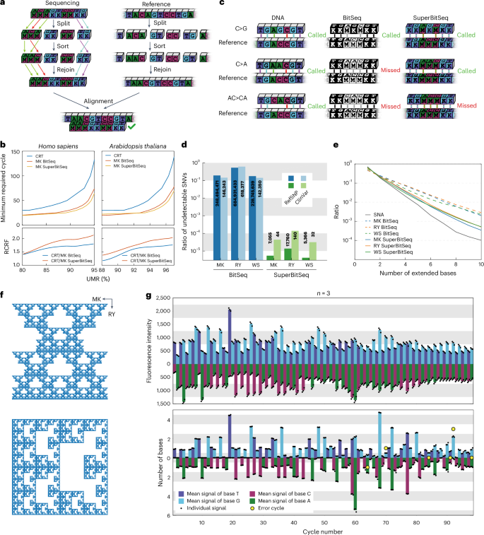 Fig. 4: Properties of SuperBitSeq.