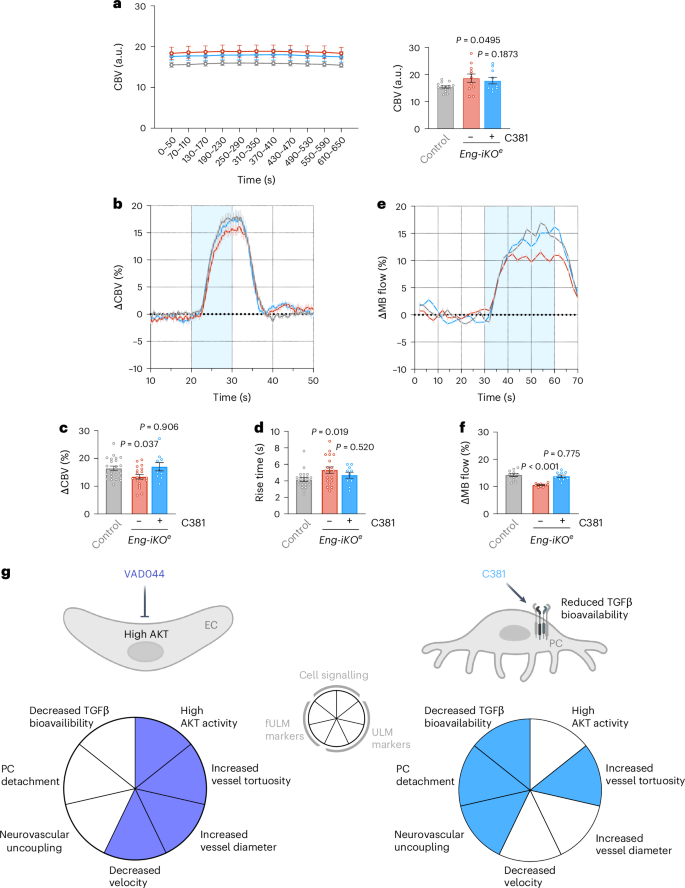 Fig. 8: C381 drug restores haemodynamic response.