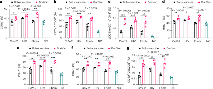 Fig. 3: Immune profiling reveals DoriVac elicits superior antigen presenting cell responses compared to a bolus vaccine.
