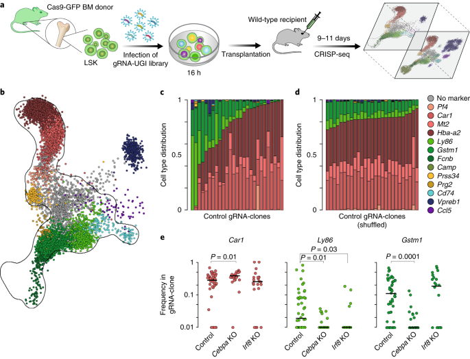Single Cell Characterization Of Haematopoietic Progenitors And Their Trajectories In Homeostasis And Perturbed Haematopoiesis Nature Cell Biology
