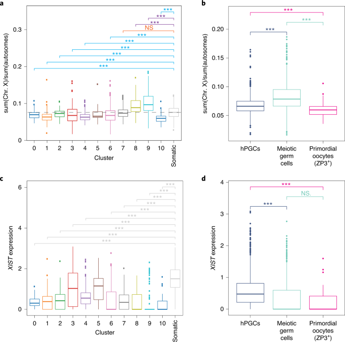 Female Human Primordial Germ Cells Display X Chromosome Dosage Compensation Despite The Absence Of X Inactivation Nature Cell Biology