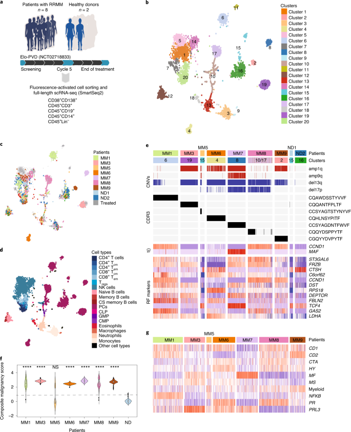 Dynamic Transcriptional Reprogramming Leads To Immunotherapeutic Vulnerabilities In Myeloma Nature Cell Biology