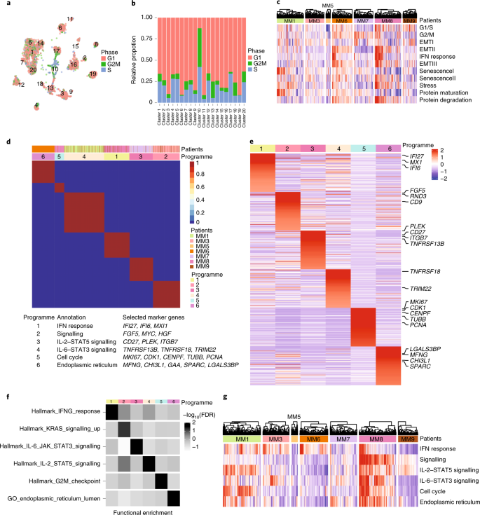 Dynamic Transcriptional Reprogramming Leads To Immunotherapeutic Vulnerabilities In Myeloma Nature Cell Biology