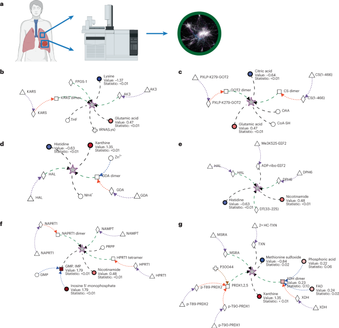 Fig. 1: Metaboverse identifies key regulatory signatures in early stage LUAD steady-state metabolomics data using collapsed reaction representations.