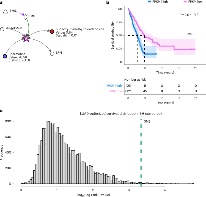 Fig. 2: Metaboverse identifies and contextualizes a putative regulatory signature in early stage LUAD steady-state metabolomics data.